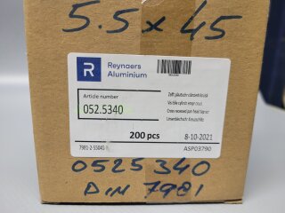 Linsenkopf Blechschraube 5,5 x 45 DIN 7981 200 Stück